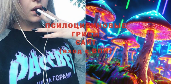apvp Верхний Тагил